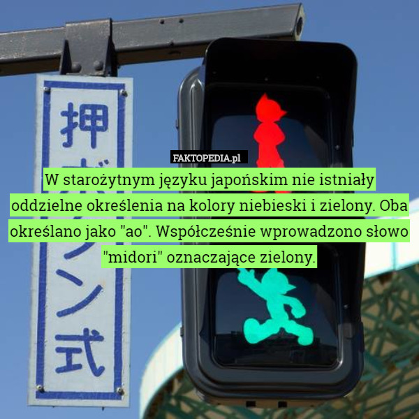 W starożytnym języku japońskim nie istniały oddzielne określenia na kolory niebieski i zielony. Oba określano jako "ao". Współcześnie wprowadzono słowo "midori" oznaczające zielony. 