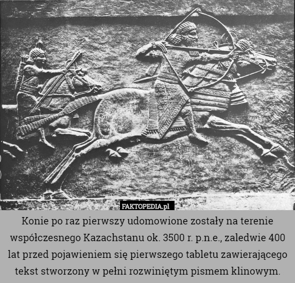 Konie po raz pierwszy udomowione zostały na terenie współczesnego Kazachstanu ok. 3500 r. p.n.e., zaledwie 400 lat przed pojawieniem się pierwszego tabletu zawierającego tekst stworzony w pełni rozwiniętym pismem klinowym. 