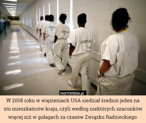 W 2008 roku w więzieniach USA siedział średnio jeden na stu mieszkańców kraju, czyli według niektórych szacunków więcej niż w gułagach za czasów Związku Radzieckiego. 