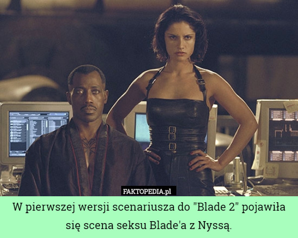 W pierwszej wersji scenariusza do "Blade 2" pojawiła się scena seksu Blade'a z Nyssą. 