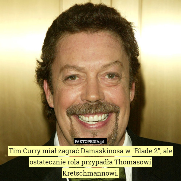 Tim Curry miał zagrać Damaskinosa w "Blade 2", ale ostatecznie rola przypadła Thomasowi Kretschmannowi. 