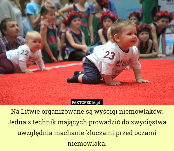 Na Litwie organizowane są wyścigi niemowlaków. Jedna z technik mających prowadzić do zwycięstwa uwzględnia machanie kluczami przed oczami niemowlaka. 