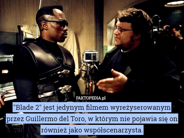 "Blade 2" jest jedynym filmem wyreżyserowanym przez Guillermo del Toro, w którym nie pojawia się on również jako współscenarzysta. 