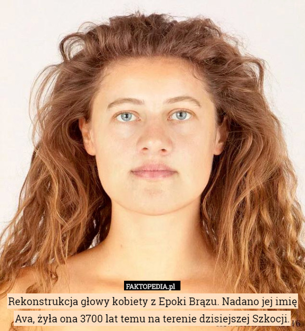 Rekonstrukcja głowy kobiety z Epoki Brązu. Nadano jej imię Ava, żyła ona 3700 lat temu na terenie dzisiejszej Szkocji. 