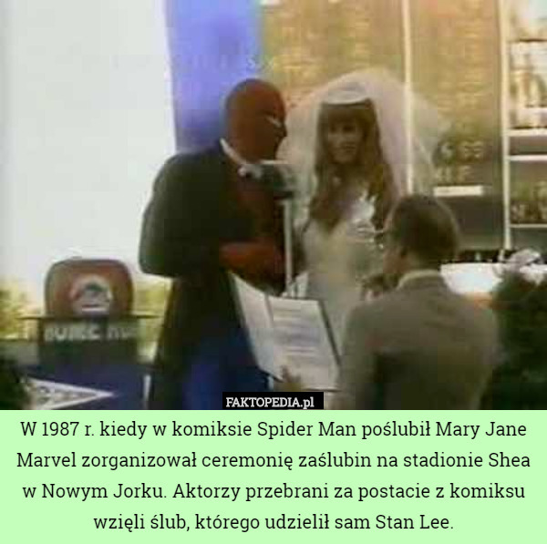 W 1987 r. kiedy w komiksie Spider Man poślubił Mary Jane Marvel zorganizował ceremonię zaślubin na stadionie Shea w Nowym Jorku. Aktorzy przebrani za postacie z komiksu wzięli ślub, którego udzielił sam Stan Lee. 