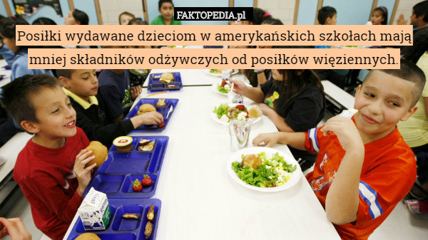 Posiłki wydawane dzieciom w amerykańskich szkołach mają mniej składników odżywczych od posiłków więziennych. 