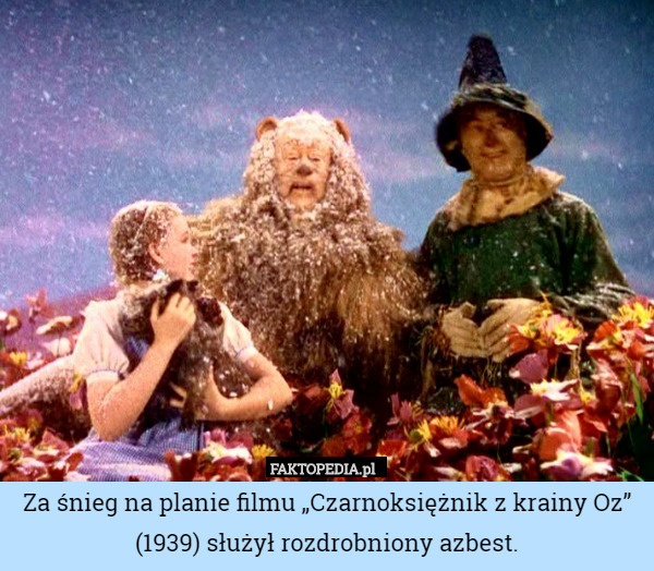 Za śnieg na planie filmu „Czarnoksiężnik z krainy Oz” (1939) służył rozdrobniony azbest. 