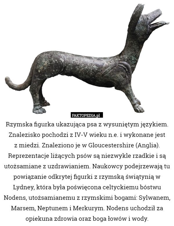 Rzymska figurka ukazująca psa z wysuniętym językiem. Znalezisko pochodzi z IV-V wieku n.e. i wykonane jest
 z miedzi. Znaleziono je w Gloucestershire (Anglia).
Reprezentacje liżących psów są niezwykle rzadkie i są utożsamiane z uzdrawianiem. Naukowcy podejrzewają tu powiązanie odkrytej figurki z rzymską świątynią w Lydney, która była poświęcona celtyckiemu bóstwu Nodens, utożsamianemu z rzymskimi bogami: Sylwanem, Marsem, Neptunem i Merkurym. Nodens uchodził za opiekuna zdrowia oraz boga łowów i wody. 