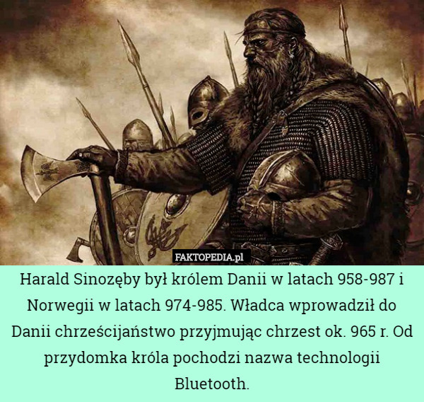 Harald Sinozęby był królem Danii w latach 958-987 i Norwegii w latach 974-985. Władca wprowadził do Danii chrześcijaństwo przyjmując chrzest ok. 965 r. Od przydomka króla pochodzi nazwa technologii Bluetooth. 