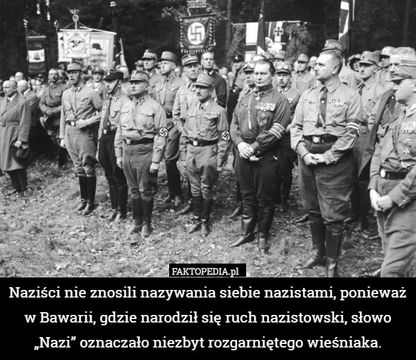 Naziści nie znosili nazywania siebie nazistami, ponieważ w Bawarii, gdzie narodził się ruch nazistowski, słowo „Nazi” oznaczało niezbyt rozgarniętego wieśniaka. 
