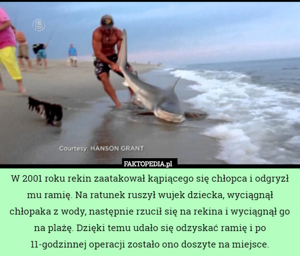 W 2001 roku rekin zaatakował kąpiącego się chłopca i odgryzł mu ramię. Na ratunek ruszył wujek dziecka, wyciągnął chłopaka z wody, następnie rzucił się na rekina i wyciągnął go na plażę. Dzięki temu udało się odzyskać ramię i po 11-godzinnej operacji zostało ono doszyte na miejsce. 