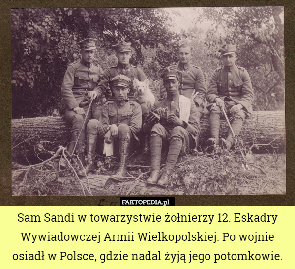 Sam Sandi w towarzystwie żołnierzy 12. Eskadry Wywiadowczej Armii Wielkopolskiej. Po wojnie osiadł w Polsce, gdzie nadal żyją jego potomkowie. 