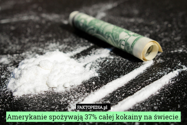 Amerykanie spożywają 37% całej kokainy na świecie. 
