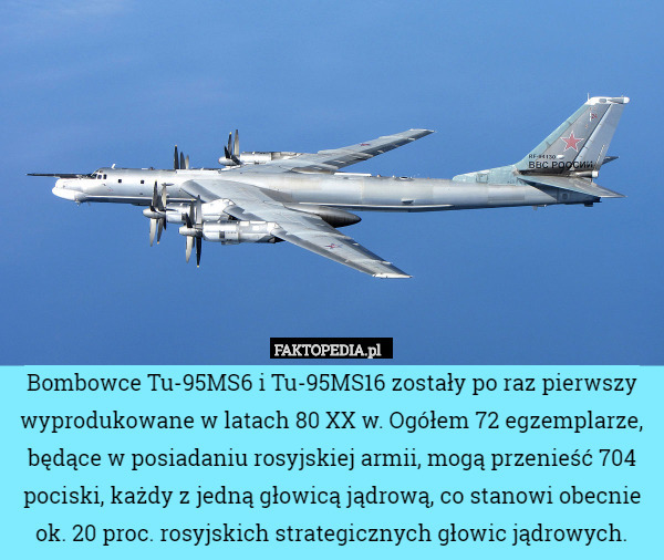 Bombowce Tu-95MS6 i Tu-95MS16 zostały po raz pierwszy wyprodukowane w latach 80 XX w. Ogółem 72 egzemplarze, będące w posiadaniu rosyjskiej armii, mogą przenieść 704 pociski, każdy z jedną głowicą jądrową, co stanowi obecnie ok. 20 proc. rosyjskich strategicznych głowic jądrowych. 