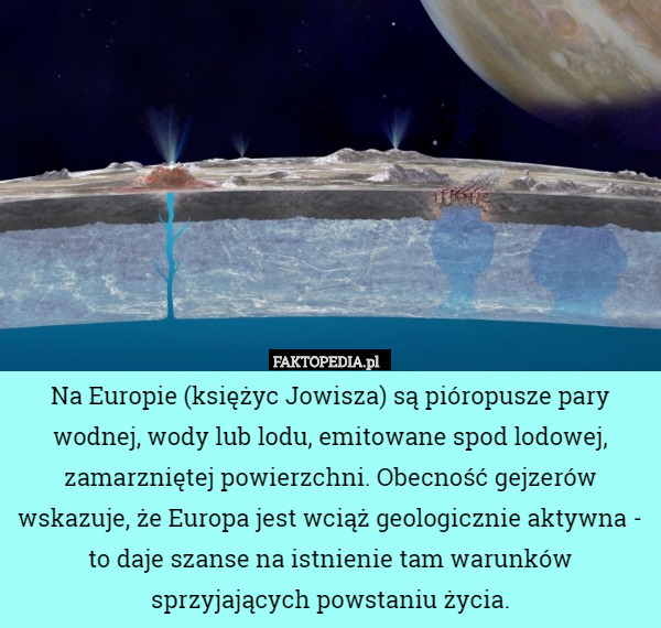 Na Europie (księżyc Jowisza) są pióropusze pary wodnej, wody lub lodu, emitowane spod lodowej, zamarzniętej powierzchni. Obecność gejzerów wskazuje, że Europa jest wciąż geologicznie aktywna - to daje szanse na istnienie tam warunków sprzyjających powstaniu życia. 