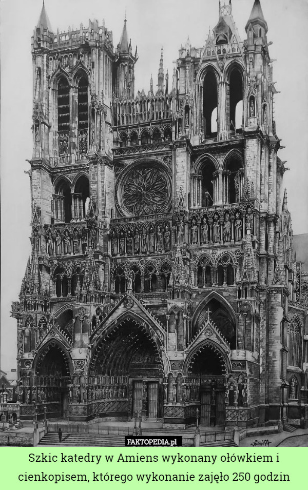 Szkic katedry w Amiens wykonany ołówkiem i cienkopisem, którego wykonanie zajęło 250 godzin 