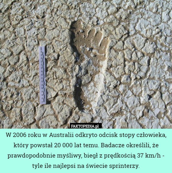 W 2006 roku w Australii odkryto odcisk stopy człowieka, który powstał 20 000 lat temu. Badacze określili, że prawdopodobnie myśliwy, biegł z prędkością 37 km/h - tyle ile najlepsi na świecie sprinterzy. 