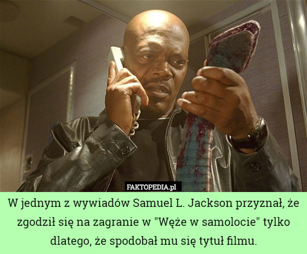 W jednym z wywiadów Samuel L. Jackson przyznał, że zgodził się na zagranie w "Węże w samolocie" tylko dlatego, że spodobał mu się tytuł filmu. 