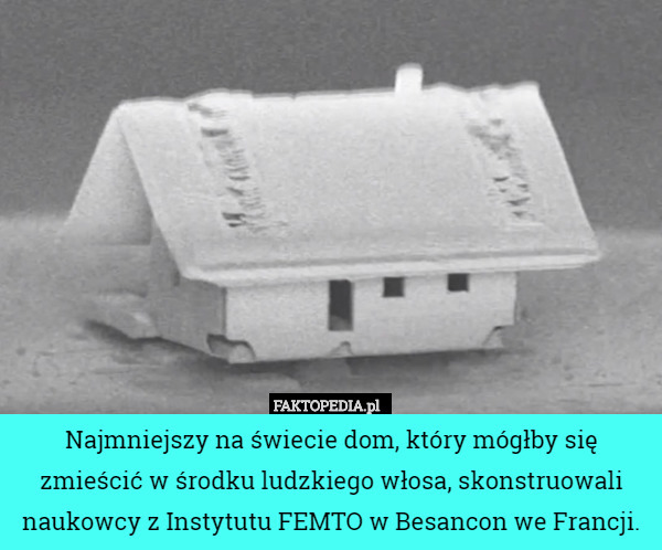 Najmniejszy na świecie dom, który mógłby się zmieścić w środku ludzkiego włosa, skonstruowali naukowcy z Instytutu FEMTO w Besancon we Francji. 