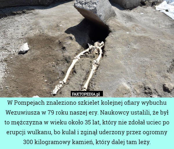 W Pompejach znaleziono szkielet kolejnej ofiary wybuchu Wezuwiusza w 79 roku naszej ery. Naukowcy ustalili, że był to mężczyzna w wieku około 35 lat, który nie zdołał uciec po erupcji wulkanu, bo kulał i zginął uderzony przez ogromny 300 kilogramowy kamień, który dalej tam leży. 