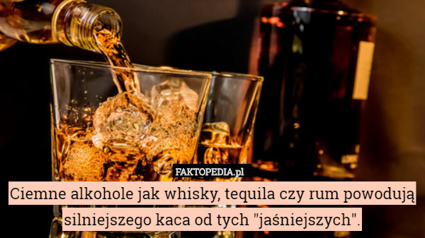 Ciemne alkohole jak whisky, tequila czy rum powodują silniejszego kaca od tych "jaśniejszych". 