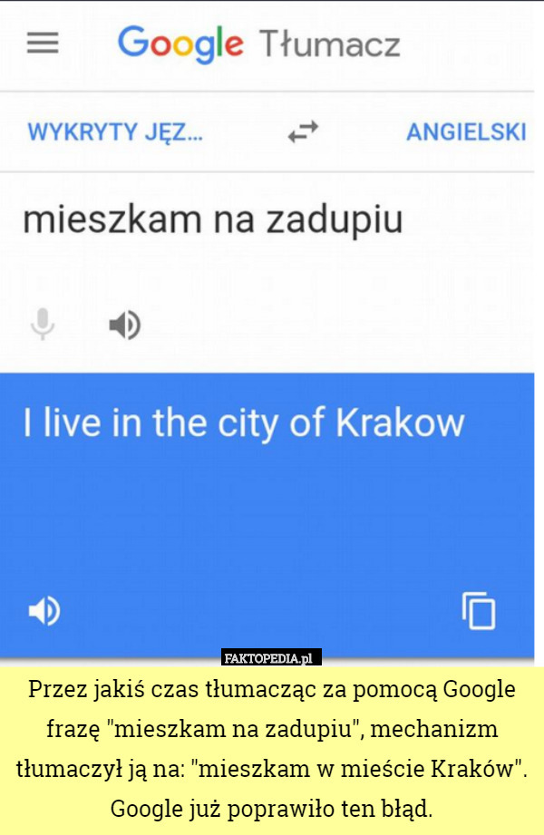 Przez jakiś czas tłumacząc za pomocą Google frazę "mieszkam na zadupiu", mechanizm tłumaczył ją na: "mieszkam w mieście Kraków". Google już poprawiło ten błąd. 