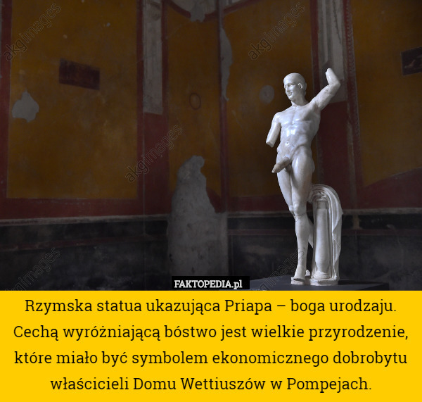 Rzymska statua ukazująca Priapa – boga urodzaju. Cechą wyróżniającą bóstwo jest wielkie przyrodzenie, które miało być symbolem ekonomicznego dobrobytu właścicieli Domu Wettiuszów w Pompejach. 
