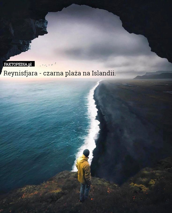 Reynisfjara - czarna plaża na Islandii. 