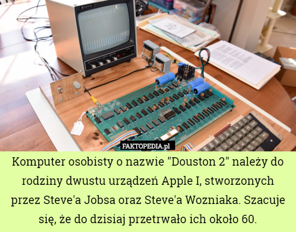 Komputer osobisty o nazwie "Douston 2" należy do rodziny dwustu urządzeń Apple I, stworzonych przez Steve'a Jobsa oraz Steve'a Wozniaka. Szacuje się, że do dzisiaj przetrwało ich około 60. 