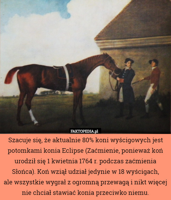 Szacuje się, że aktualnie 80% koni wyścigowych jest potomkami konia Eclipse (Zaćmienie, ponieważ koń urodził się 1 kwietnia 1764 r. podczas zaćmienia Słońca). Koń wziął udział jedynie w 18 wyścigach,
 ale wszystkie wygrał z ogromną przewagą i nikt więcej nie chciał stawiać konia przeciwko niemu. 