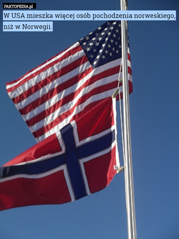 W USA mieszka więcej osób pochodzenia norweskiego, niż w Norwegii. 
