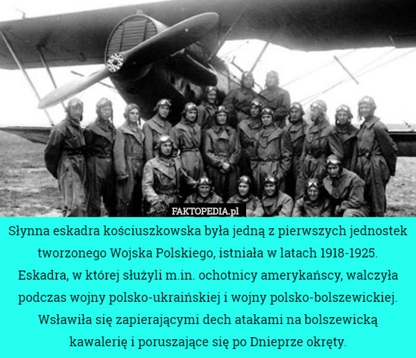 Słynna eskadra kościuszkowska była jedną z pierwszych jednostek tworzonego Wojska Polskiego, istniała w latach 1918-1925.
 Eskadra, w której służyli m.in. ochotnicy amerykańscy, walczyła podczas wojny polsko-ukraińskiej i wojny polsko-bolszewickiej. Wsławiła się zapierającymi dech atakami na bolszewicką kawalerię i poruszające się po Dnieprze okręty. 