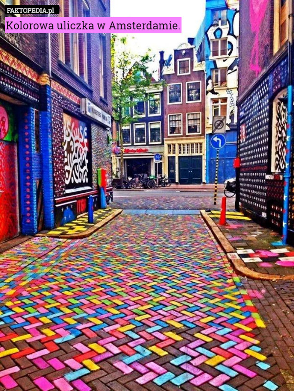 Kolorowa uliczka w Amsterdamie. 