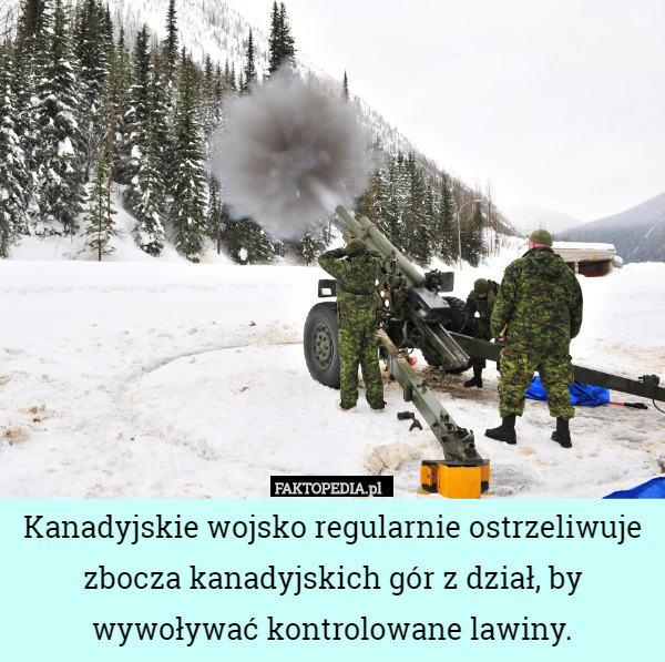 Kanadyjskie wojsko regularnie ostrzeliwuje zbocza kanadyjskich gór z dział, by wywoływać kontrolowane lawiny. 