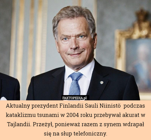Aktualny prezydent Finlandii Sauli Niinistö  podczas kataklizmu tsunami w 2004 roku przebywał akurat w Tajlandii. Przeżył, ponieważ razem z synem wdrapał się na słup telefoniczny. 