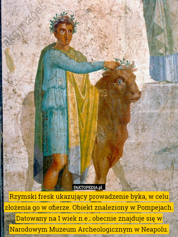 Rzymski fresk ukazujący prowadzenie byka, w celu złożenia go w ofierze. Obiekt znaleziony w Pompejach. Datowany na I wiek n.e.; obecnie znajduje się w Narodowym Muzeum Archeologicznym w Neapolu. 