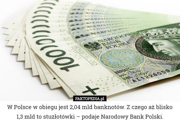 W Polsce w obiegu jest 2,04 mld banknotów. Z czego aż blisko 1,3 mld to stuzłotówki – podaje Narodowy Bank Polski. 