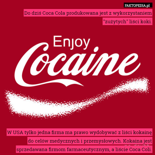 Do dziś Coca Cola produkowana jest z wykorzystaniem "zużytych" liści koki.












W USA tylko jedna firma ma prawo wydobywać z liści kokainę do celów medycznych i przemysłowych. Kokaina jest sprzedawana firmom farmaceutycznym, a liście Coca Coli. 