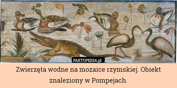 Zwierzęta wodne na mozaice rzymskiej. Obiekt znaleziony w Pompejach. 