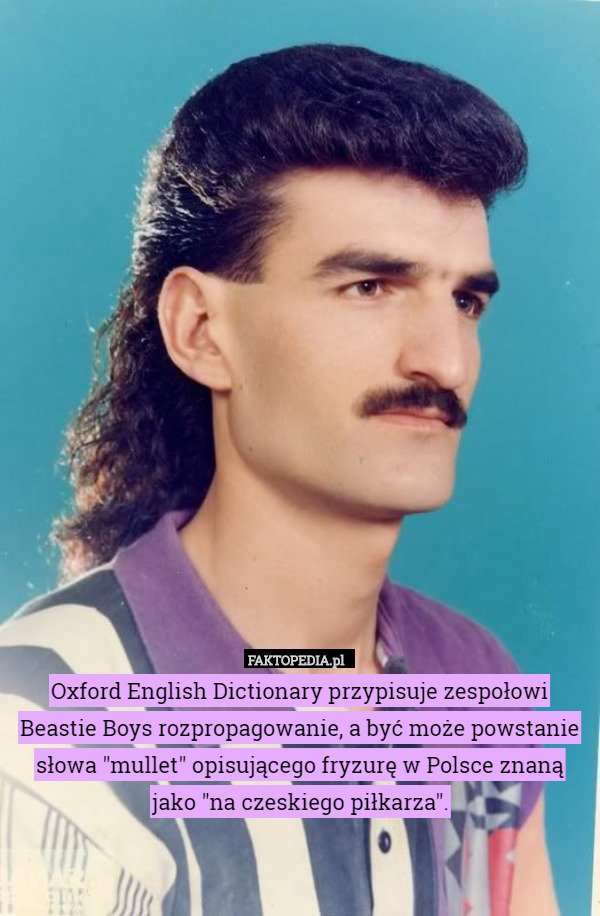 Oxford English Dictionary przypisuje zespołowi Beastie Boys rozpropagowanie, a być może powstanie słowa "mullet" opisującego fryzurę w Polsce znaną jako "na czeskiego piłkarza". 