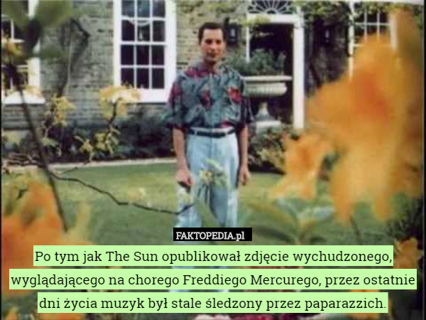 Po tym jak The Sun opublikował zdjęcie wychudzonego, wyglądającego na chorego Freddiego Mercurego, przez ostatnie dni życia muzyk był stale śledzony przez paparazzich. 