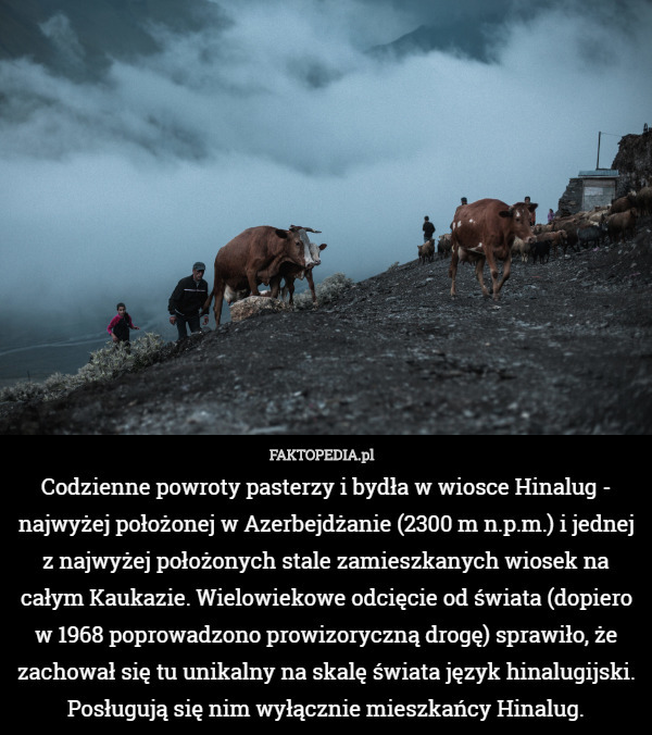 Codzienne powroty pasterzy i bydła w wiosce Hinalug - najwyżej położonej w Azerbejdżanie (2300 m n.p.m.) i jednej z najwyżej położonych stale zamieszkanych wiosek na całym Kaukazie. Wielowiekowe odcięcie od świata (dopiero w 1968 poprowadzono prowizoryczną drogę) sprawiło, że zachował się tu unikalny na skalę świata język hinalugijski. Posługują się nim wyłącznie mieszkańcy Hinalug. 