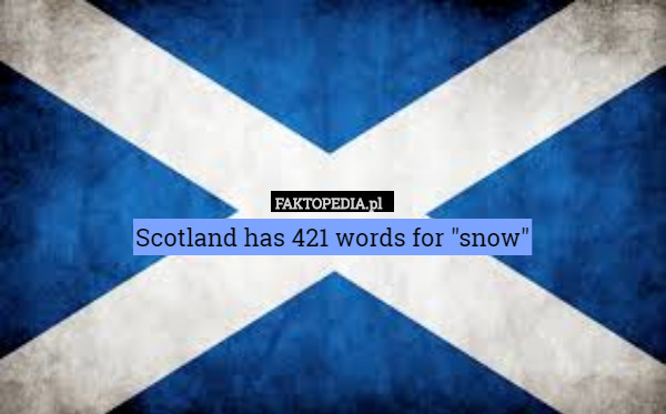 Scotland has 421 words for "snow" 