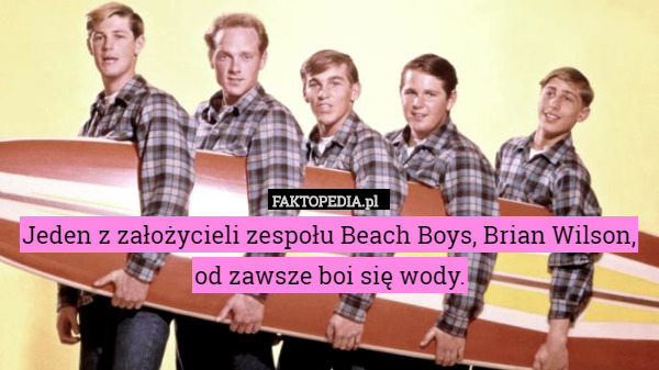 Jeden z założycieli zespołu Beach Boys, Brian Wilson, od zawsze boi się wody. 