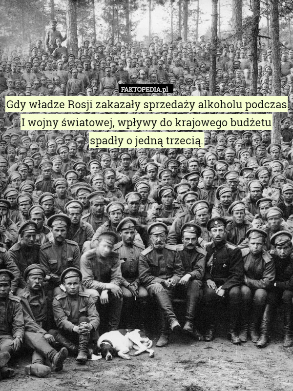 Gdy władze Rosji zakazały sprzedaży alkoholu podczas I wojny światowej, wpływy do krajowego budżetu spadły o jedną trzecią. 