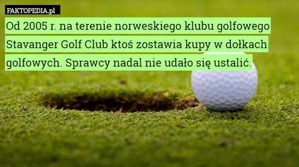 Od 2005 r. na terenie norweskiego klubu golfowego Stavanger Golf Club ktoś zostawia kupy w dołkach golfowych. Sprawcy nadal nie udało się ustalić. 