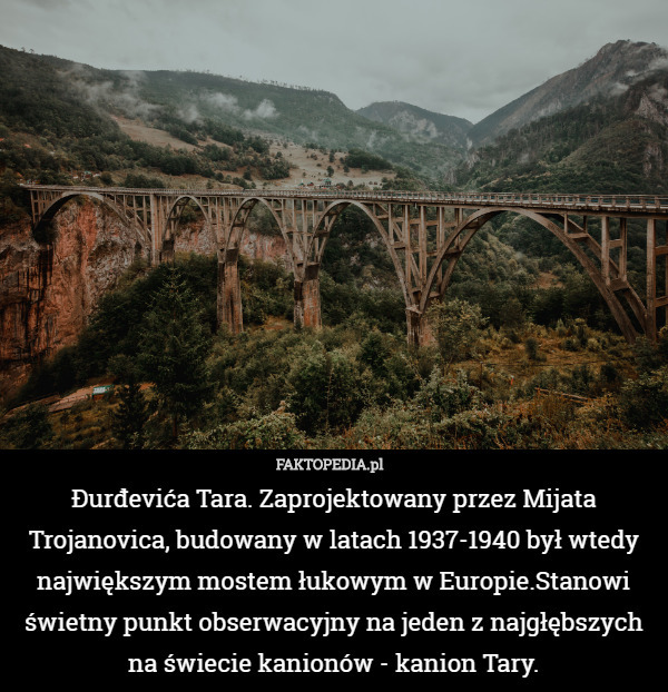 Đurđevića Tara. Zaprojektowany przez Mijata Trojanovica, budowany w latach 1937-1940 był wtedy największym mostem łukowym w Europie.Stanowi świetny punkt obserwacyjny na jeden z najgłębszych na świecie kanionów - kanion Tary. 