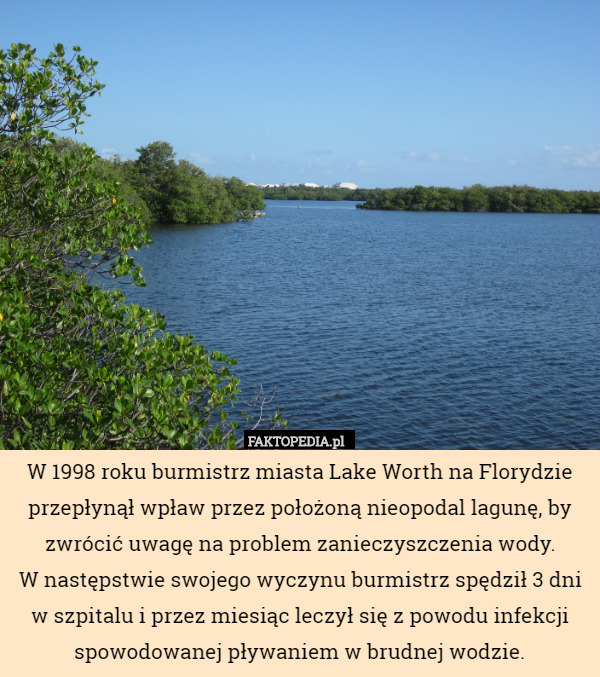 W 1998 roku burmistrz miasta Lake Worth na Florydzie przepłynął wpław przez położoną nieopodal lagunę, by zwrócić uwagę na problem zanieczyszczenia wody.
 W następstwie swojego wyczynu burmistrz spędził 3 dni w szpitalu i przez miesiąc leczył się z powodu infekcji spowodowanej pływaniem w brudnej wodzie. 