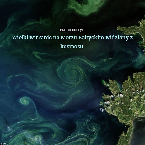 Wielki wir sinic na Morzu Bałtyckim widziany z kosmosu. 