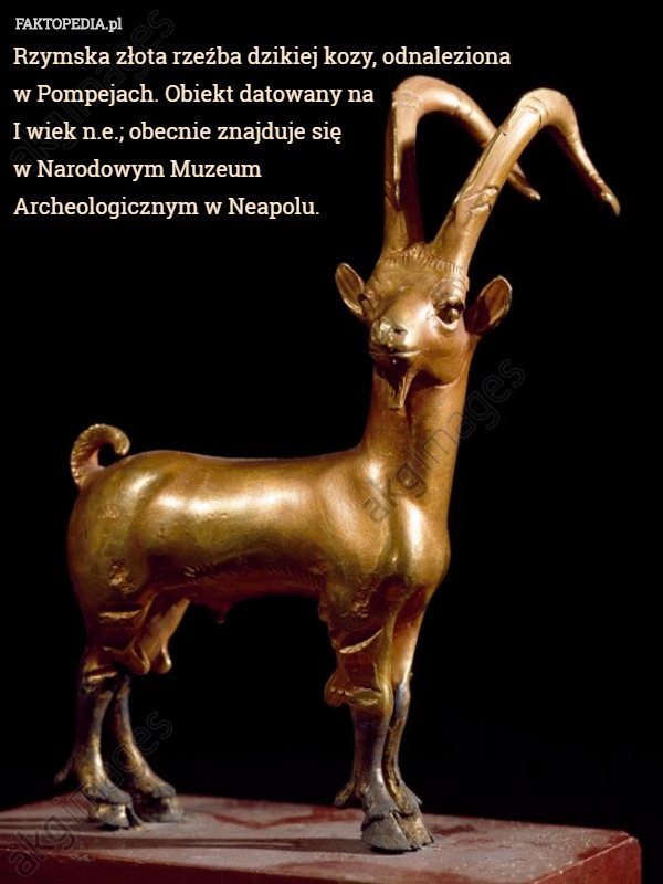 Rzymska złota rzeźba dzikiej kozy, odnaleziona
 w Pompejach. Obiekt datowany na
 I wiek n.e.; obecnie znajduje się
 w Narodowym Muzeum
 Archeologicznym w Neapolu. 